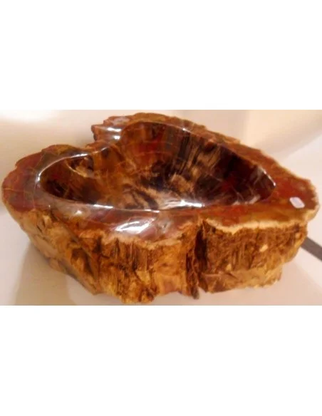 Grand coeur en Bois fossilisé polis