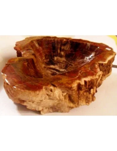 Grand coeur en Bois fossilisé polis