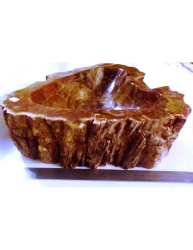 Grand coeur en Bois fossilisé polis