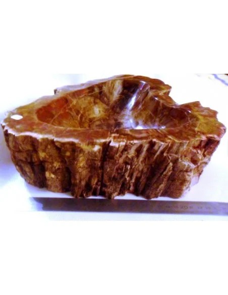 Grand coeur en Bois fossilisé polis