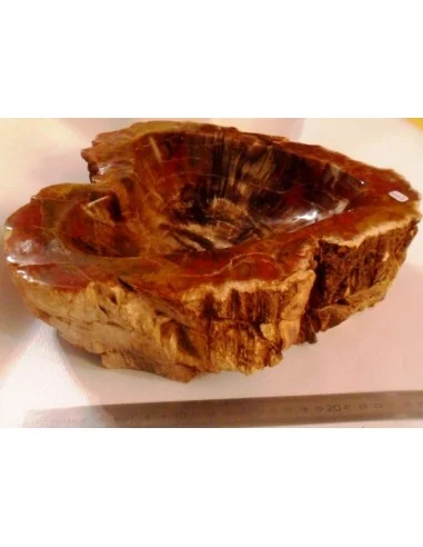 Grand coeur en Bois fossilisé polis