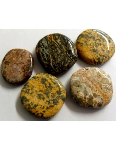 Jaspe paviot pierre plate