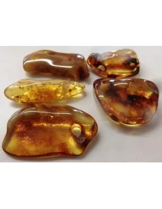 Ambre percé