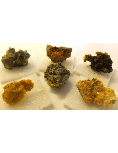 Mimetite, Wulfenite, Tsumcorite mineral