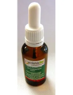 Aventurine élixir