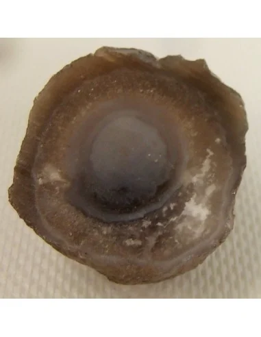 Calcedoine nodulaire