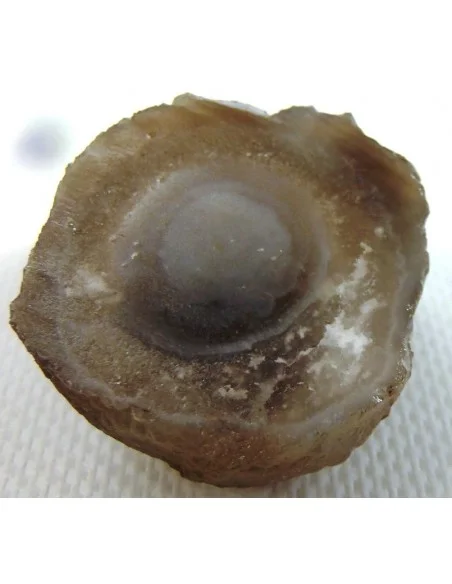Calcedoine nodulaire