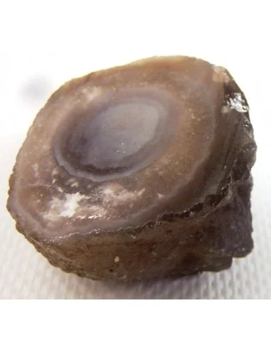 Calcedoine nodulaire