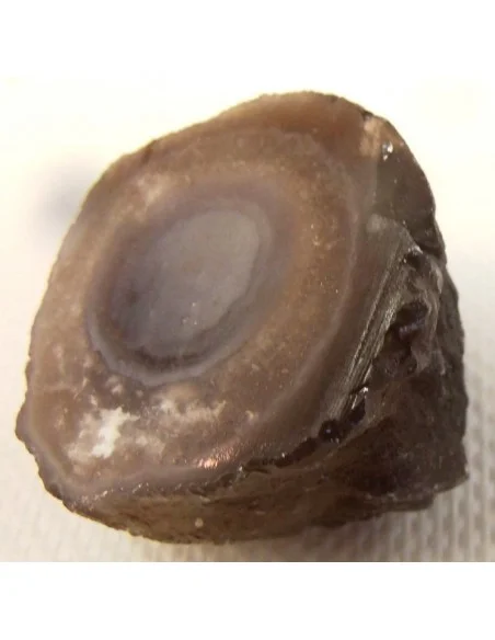 Calcedoine nodulaire