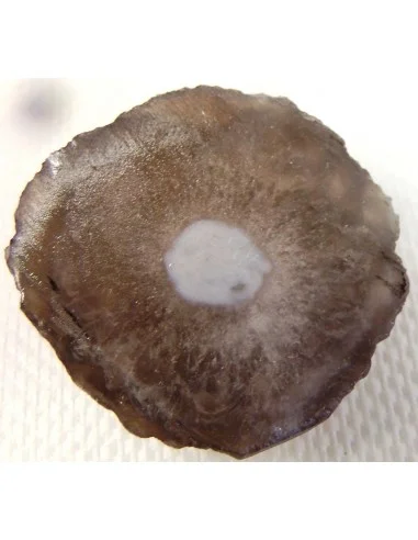 Calcedoine nodulaire
