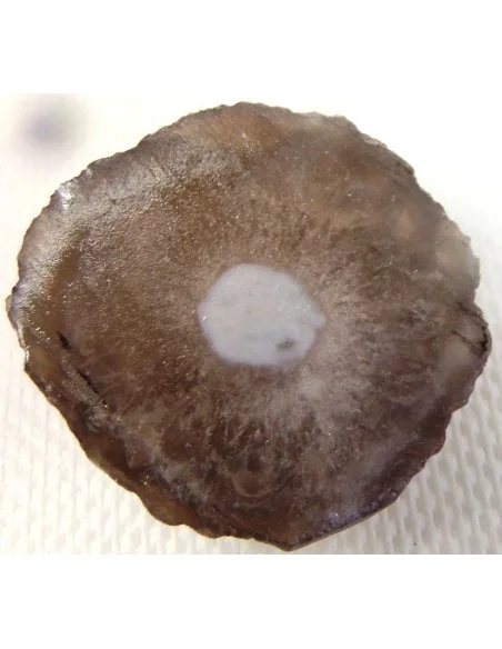 Calcedoine nodulaire