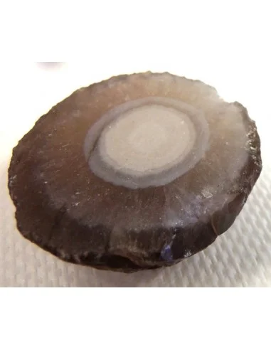 Calcedoine nodulaire