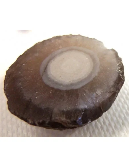 Calcedoine nodulaire