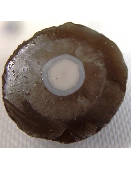 Calcedoine nodulaire