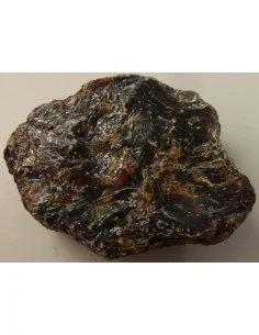Ambre mer baltique 9cm 2