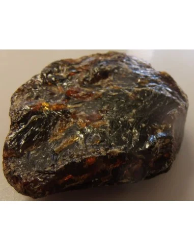 Ambre mer baltique 9cm