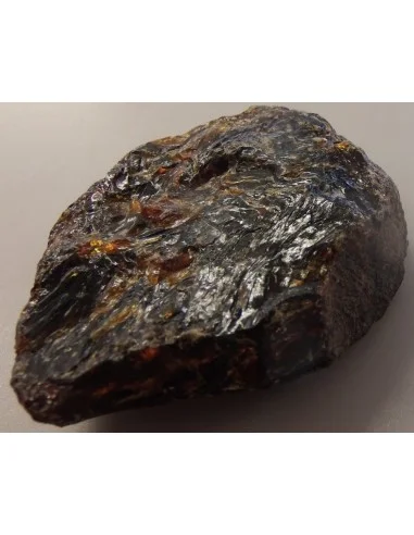 Ambre mer baltique 9cm