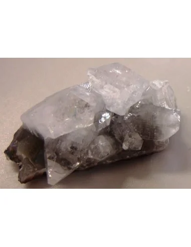 Apophyllite blanche drusie