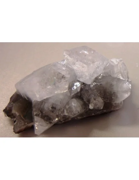 Apophyllite blanche drusie