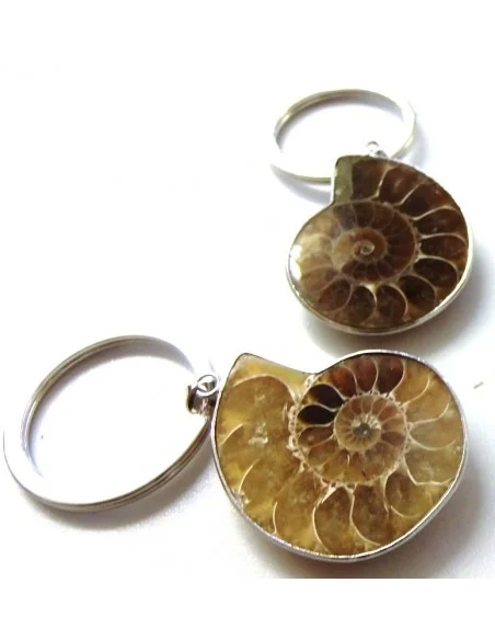 Ammonites porte-clés