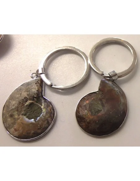 Ammonites porte-clés