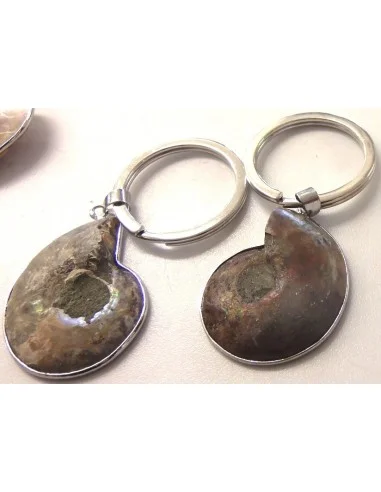 Ammonites porte-clés