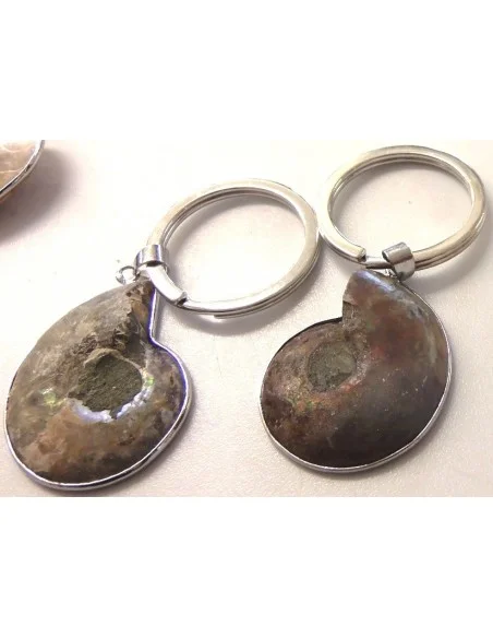 Ammonites porte-clés