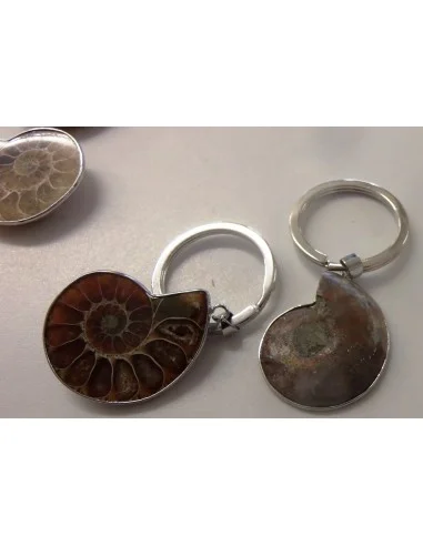 Ammonites porte-clés
