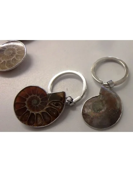 Ammonites porte-clés