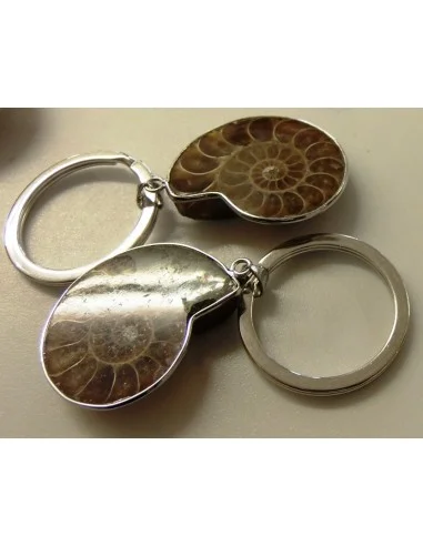 Ammonites porte-clés