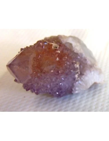 Améthyste cactus septre pièce unique