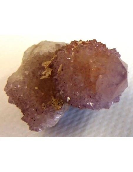 Améthyste cactus septre pièce unique