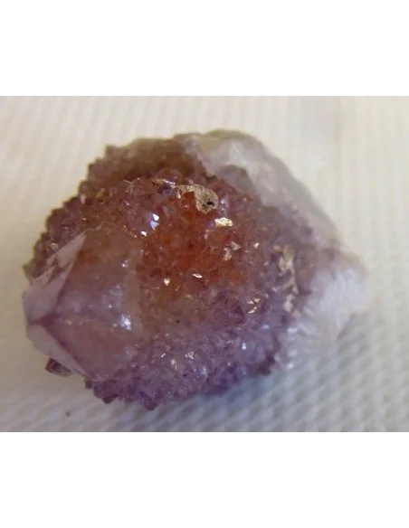 Améthyste cactus septre pièce unique