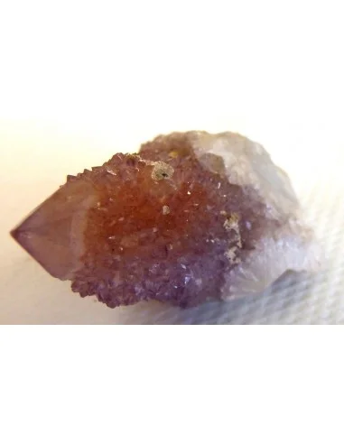 Améthyste cactus septre pièce unique