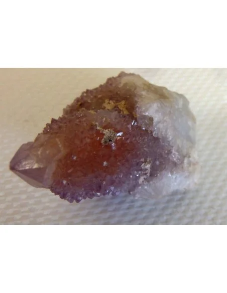 Améthyste cactus septre pièce unique