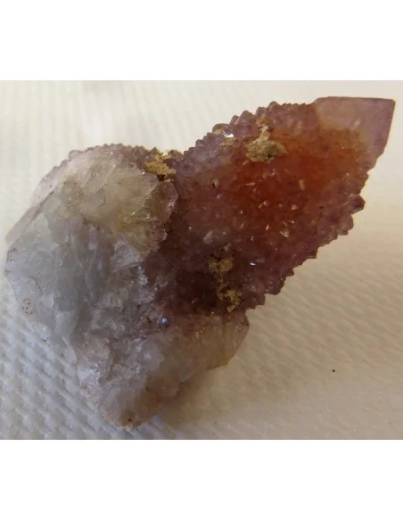 Améthyste cactus septre pièce unique