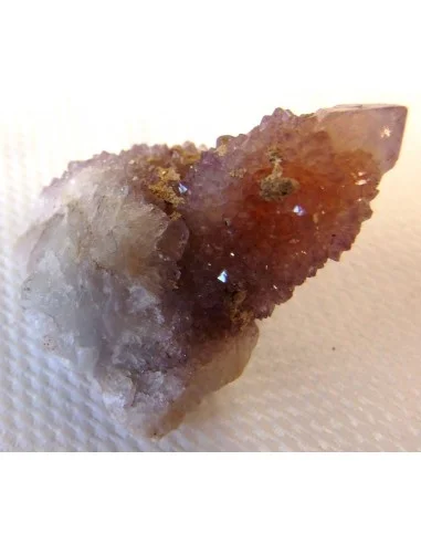 Améthyste cactus septre pièce unique