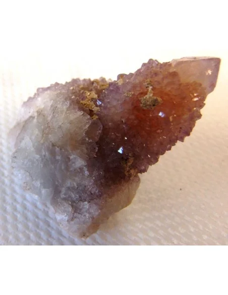 Améthyste cactus septre pièce unique