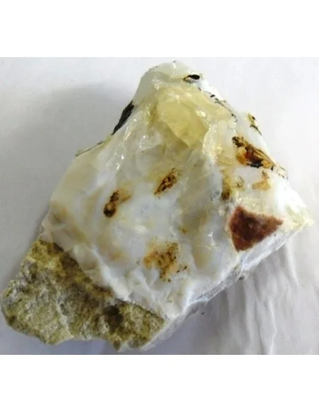 Opal'e Oregon Opal'e Oregon