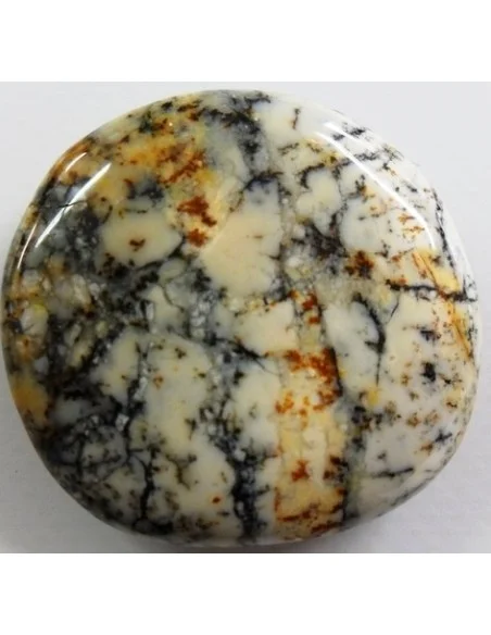 Opale dendritique galet