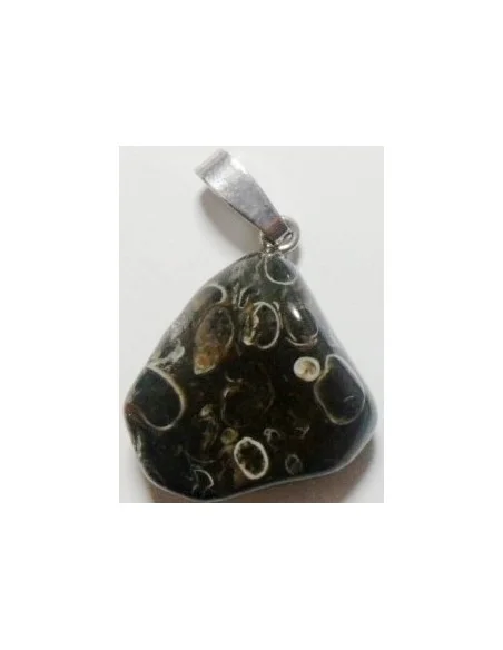 Jaspe aux turitelles pendentif argent