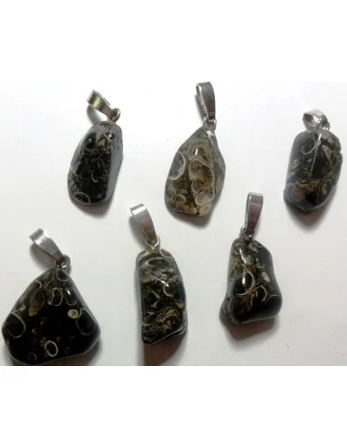 Jaspe aux turitelles pendentif argent