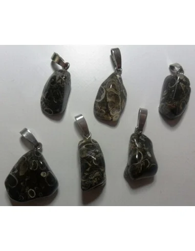 Jaspe aux turitelles pendentif argent