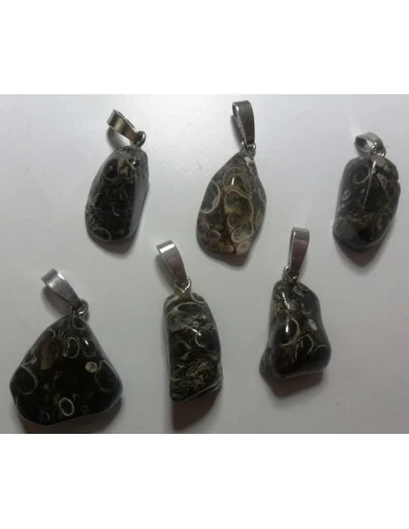 Jaspe aux turitelles pendentif argent