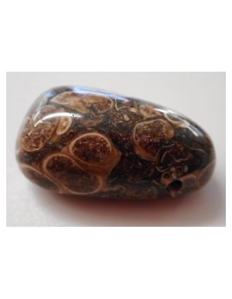 Jaspe aux turitelles pendentif 