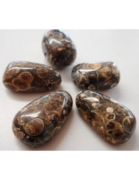 Jaspe aux turitelles pendentif 