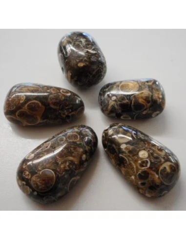 Jaspe aux turitelles pendentif 