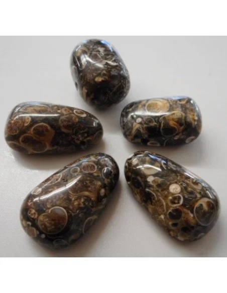 Jaspe aux turitelles pendentif 