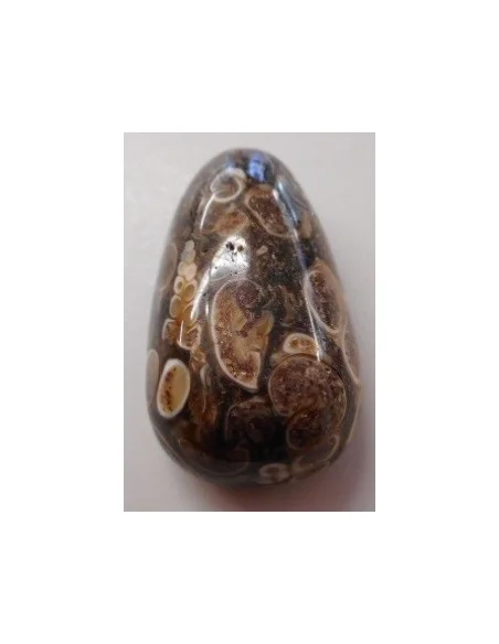 Jaspe aux turitelles pendentif 