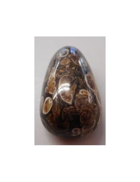 Jaspe aux turitelles pendentif 